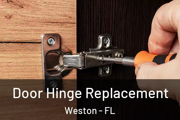 Door Hinge Replacement Weston - FL