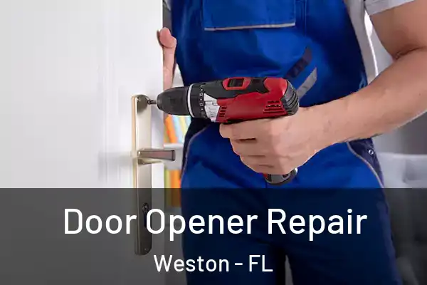 Door Opener Repair Weston - FL
