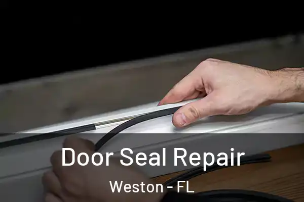 Door Seal Repair Weston - FL