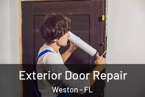 Exterior Door Repair Weston - FL
